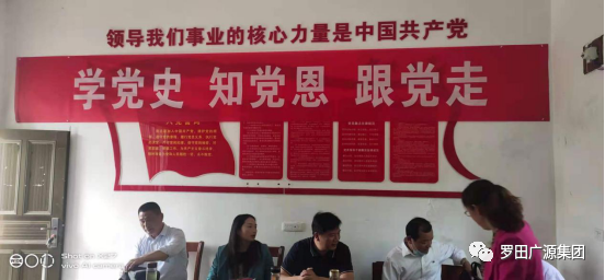 罗田广源集团组织驻点村全体党员  开展党史学习教育专题活动