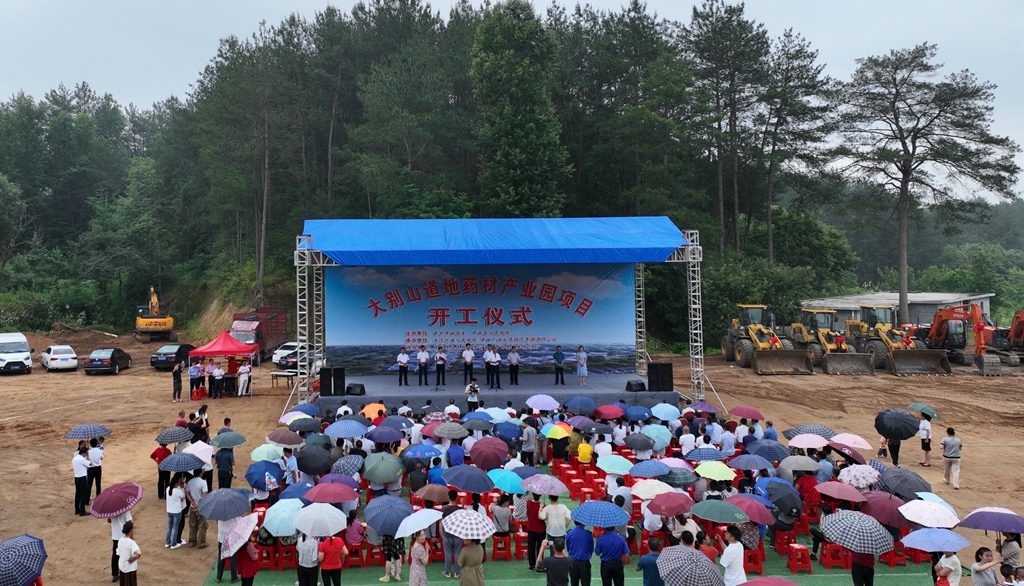 大别山道地药材产业园项目正式开工